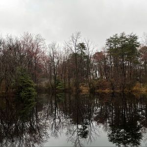 Meet your Posher, Ninoska